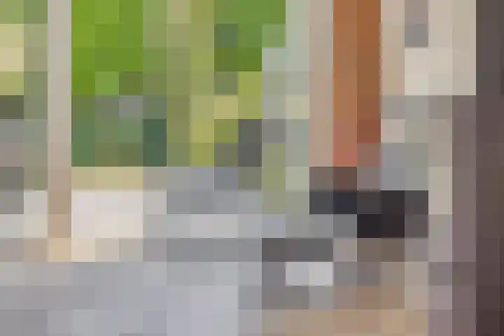 Kasteellaan 98 Apeldoorn thumbnail 50
