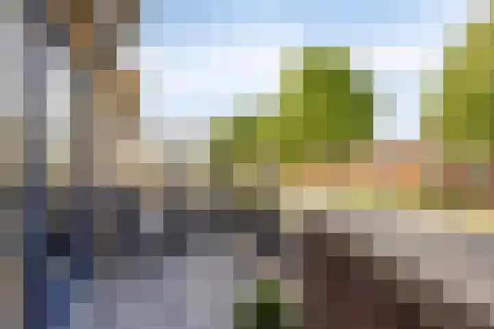 Kasteellaan 98 Apeldoorn thumbnail 54