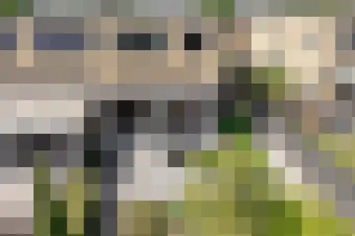 Kasteellaan 98 Apeldoorn thumbnail 59