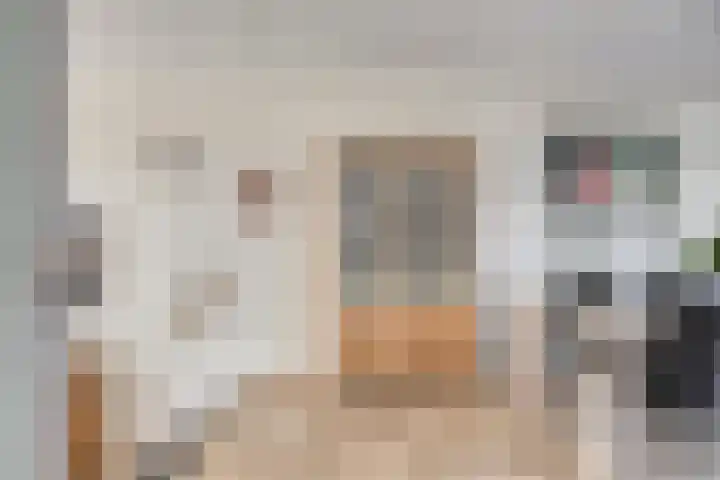 Kasteellaan 98 Apeldoorn thumbnail 6