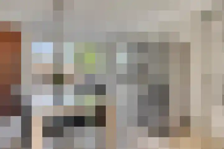 Kasteellaan 98 Apeldoorn thumbnail 7