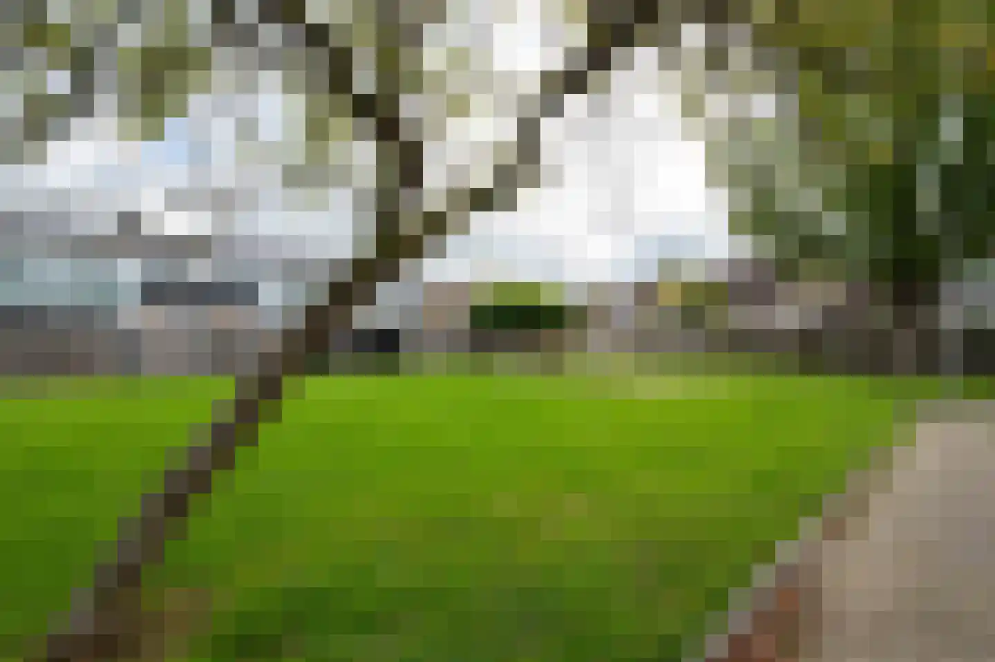 Kasteelpad 7 Hellevoetsluis thumbnail 33