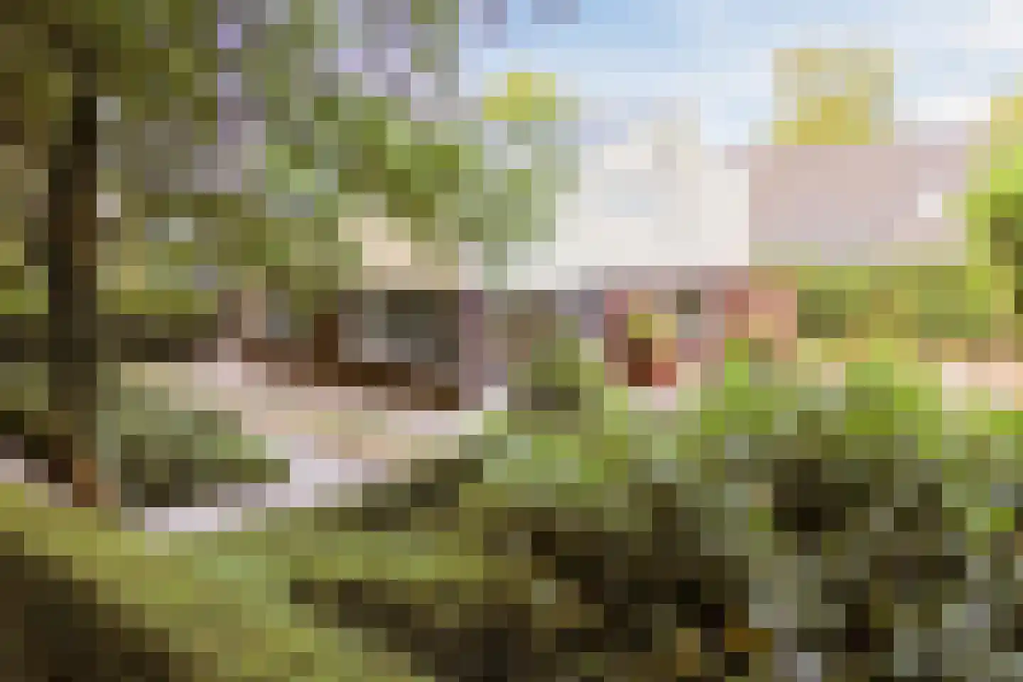 Kasteelplaats 4 Gorinchem thumbnail 6