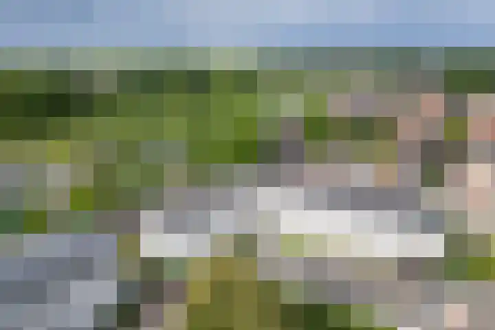 Kasteelplein 12 Montfoort thumbnail 29