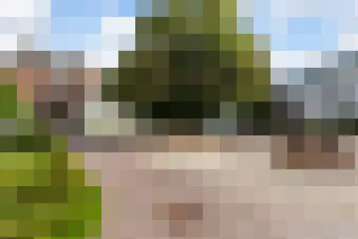 Kasteelplein 12 Montfoort thumbnail 31