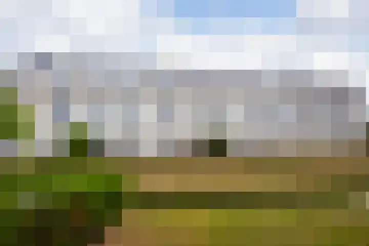 Kasteelplein 44 Montfoort thumbnail 36