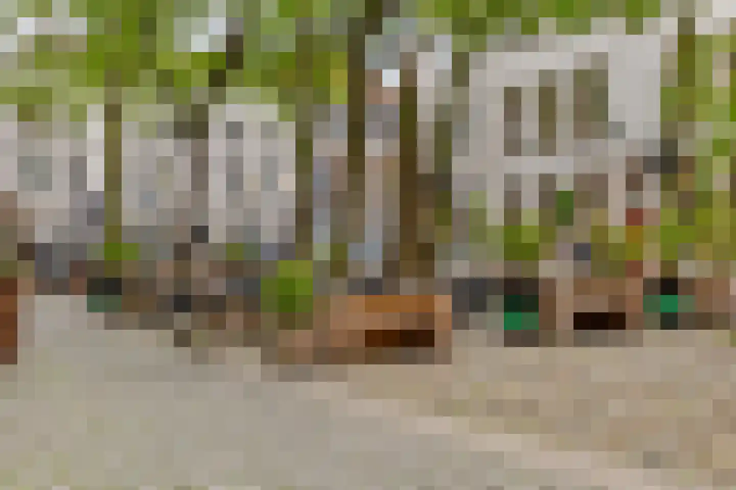 Kasteelplein 65 Breda thumbnail 32