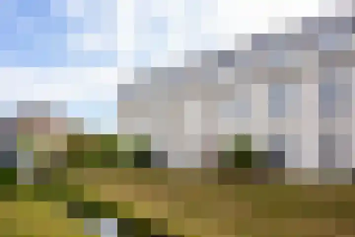 Kasteelplein 70 Montfoort thumbnail 17