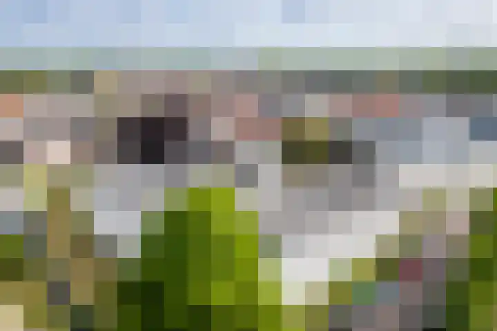 Kasteelplein 70 Montfoort thumbnail 23