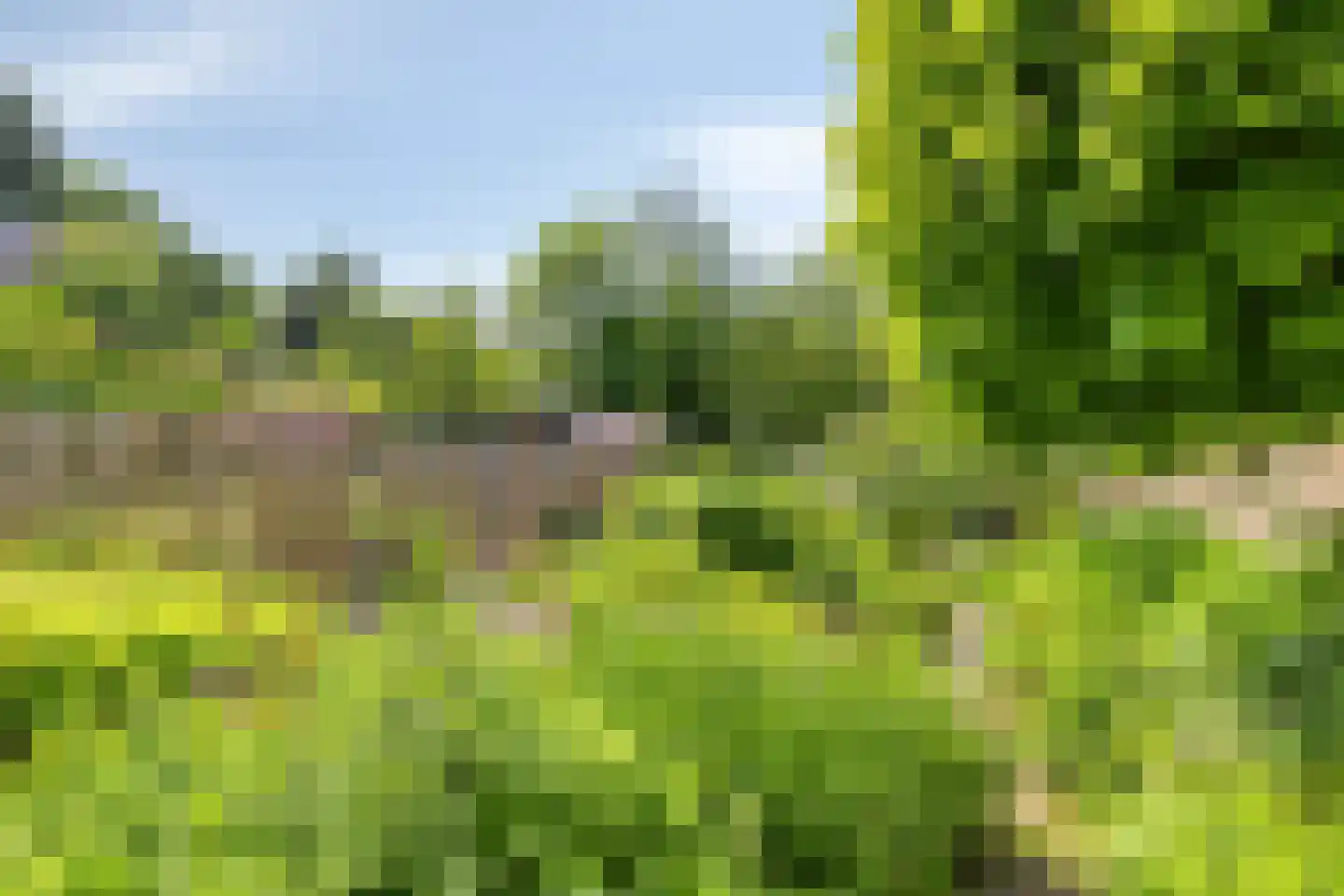 Kasteelselaan 4 Ubbergen thumbnail 31