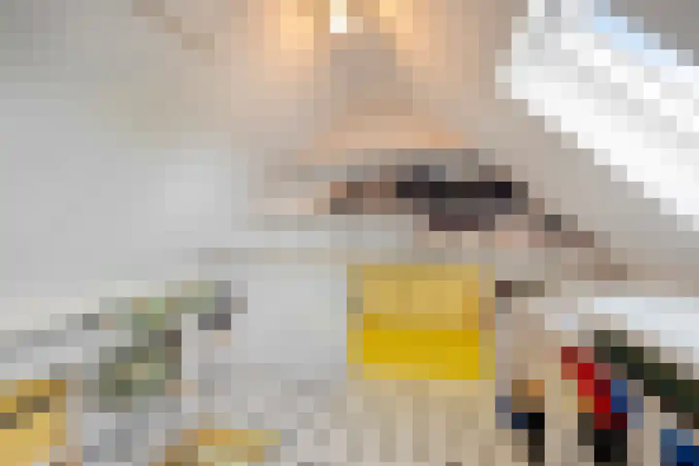 Kasteelselaan 4 Ubbergen thumbnail 44