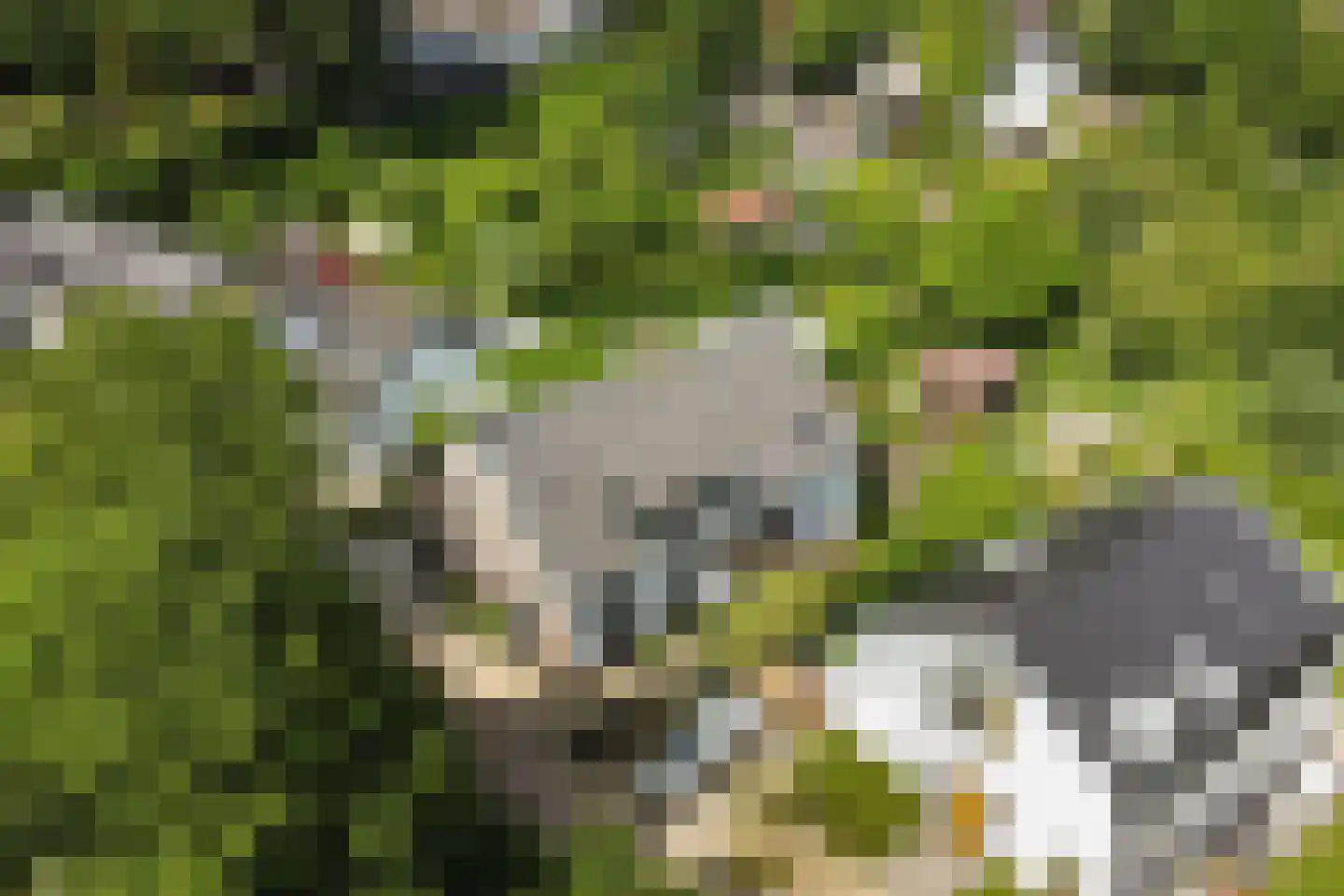 Kasteelselaan 4 Ubbergen thumbnail 47