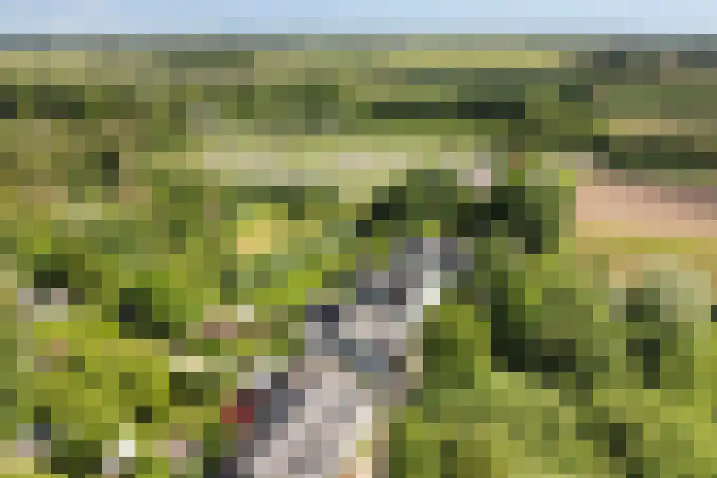 Kasteelselaan 4 Ubbergen thumbnail 48