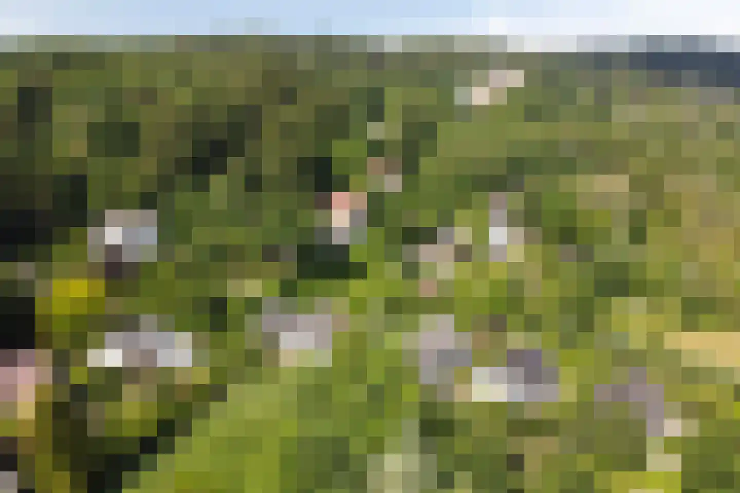Kasteelselaan 4 Ubbergen thumbnail 49