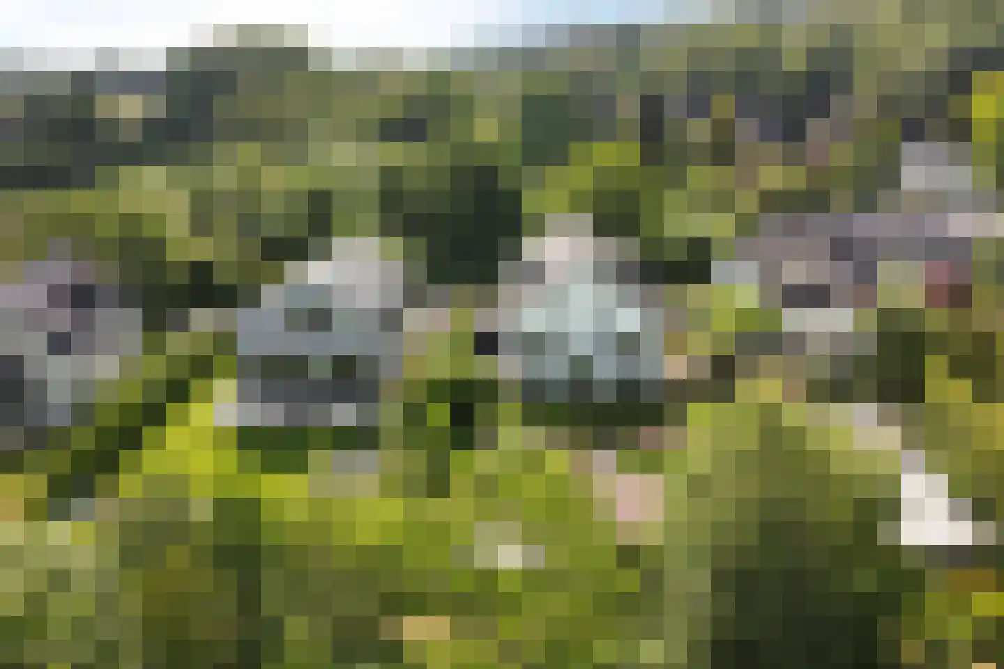 Kasteelselaan 4 Ubbergen thumbnail 50