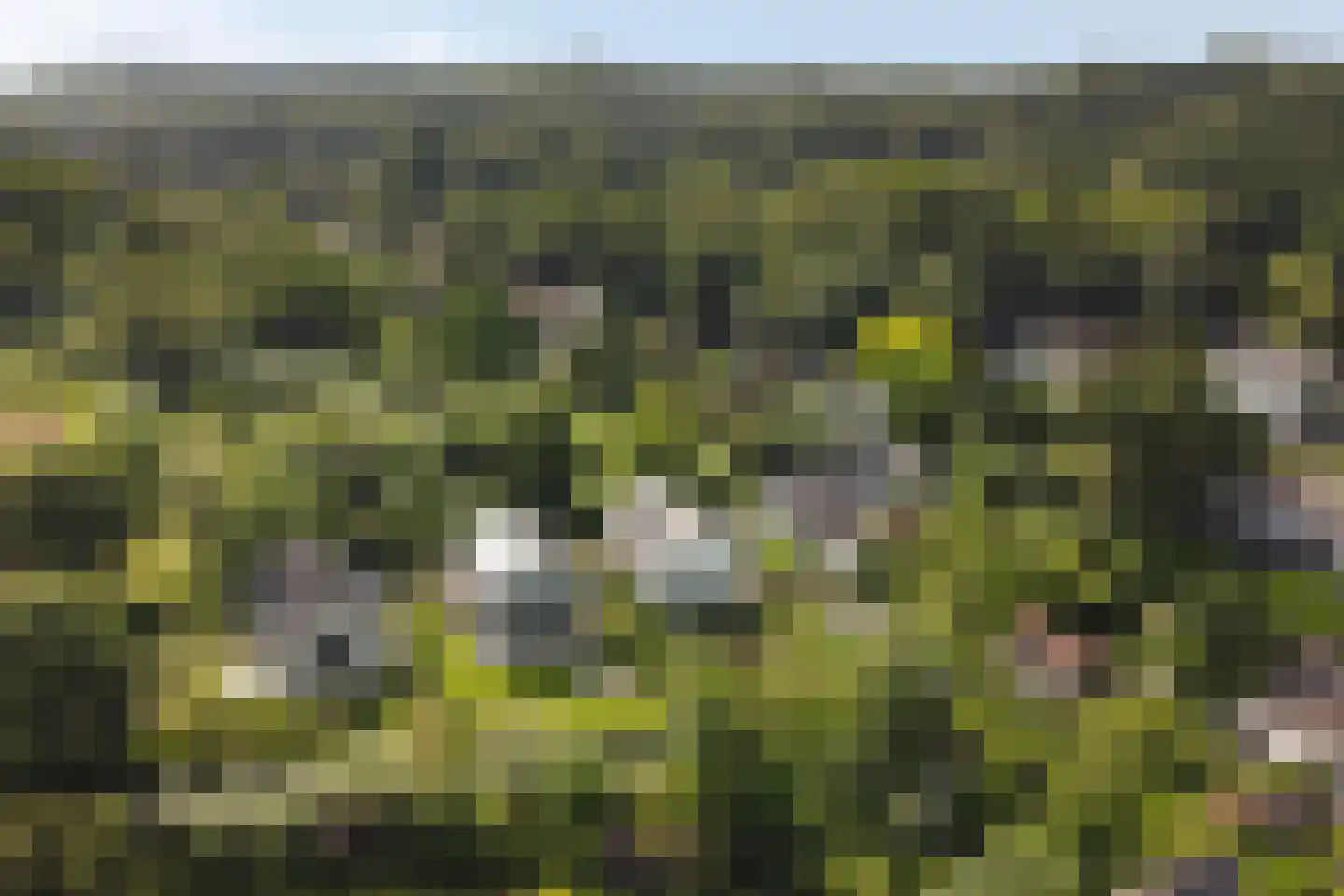 Kasteelselaan 4 Ubbergen thumbnail 51
