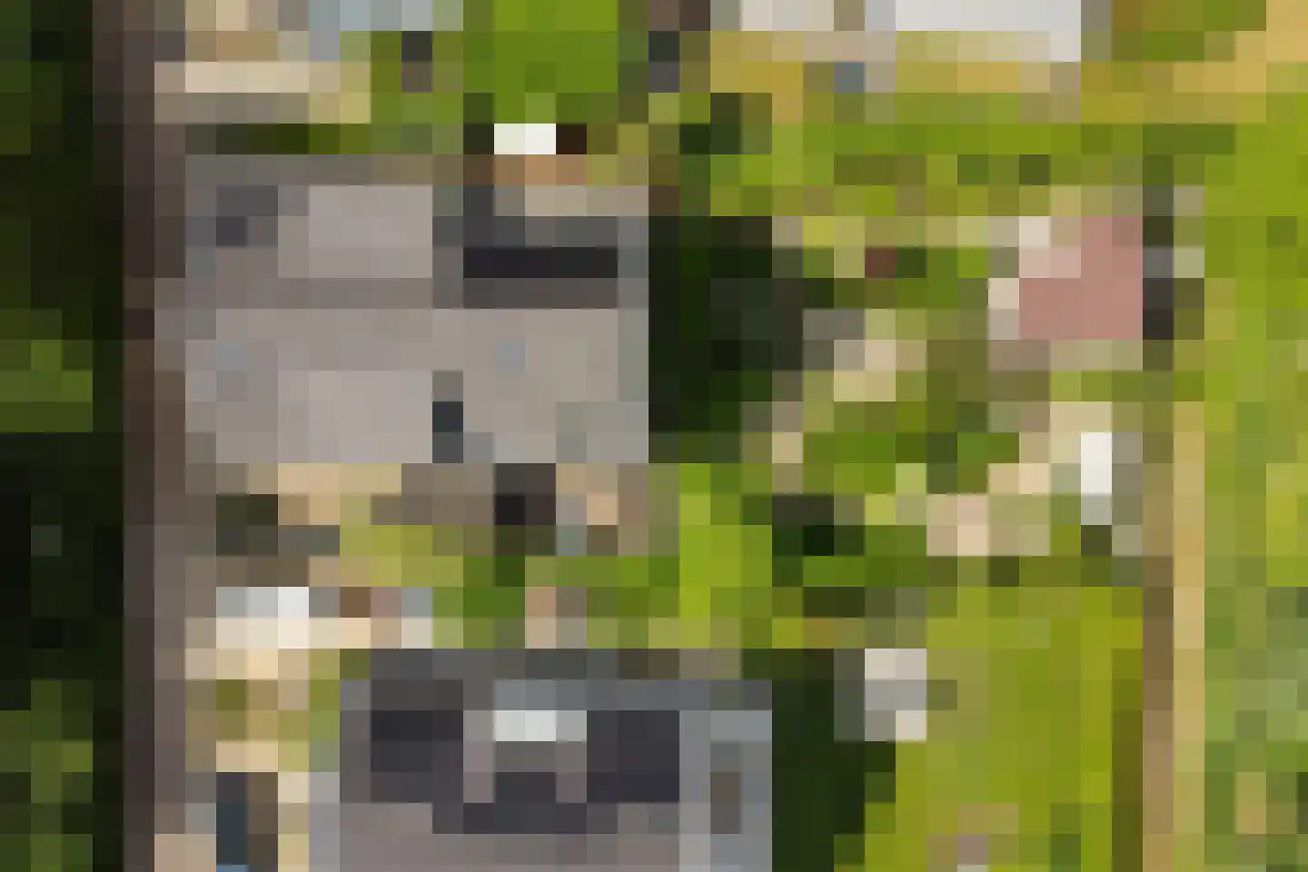 Kasteelselaan 4 Ubbergen thumbnail 52