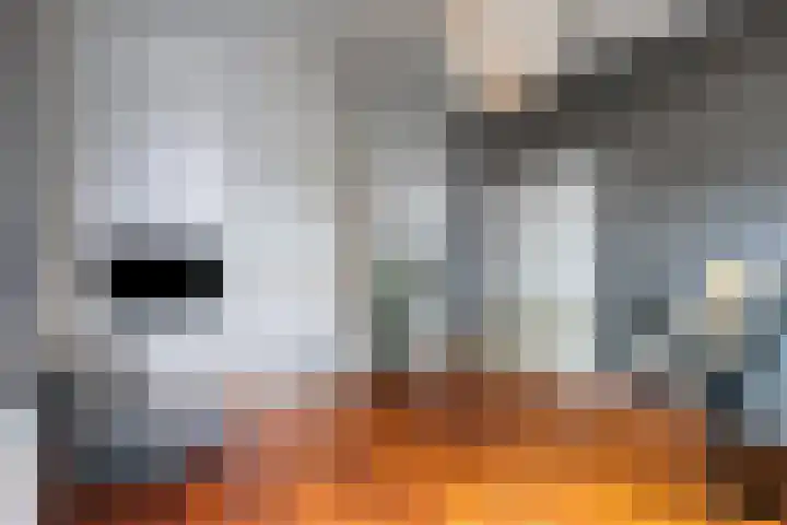 Kasteelsestraat 8 Overasselt thumbnail 12