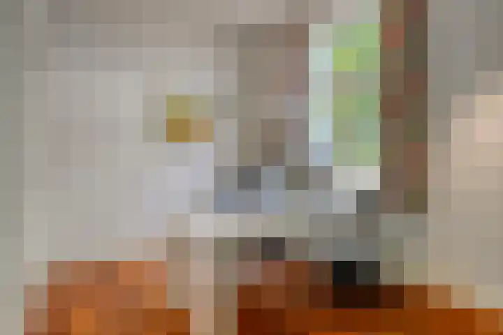 Kasteelsestraat 8 Overasselt thumbnail 13