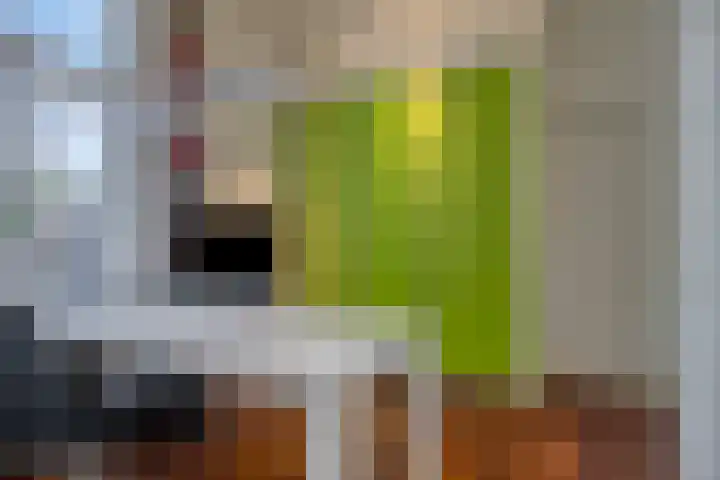 Kasteelsestraat 8 Overasselt thumbnail 14