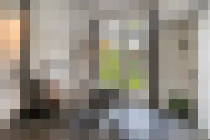 Kasteelsestraat 8 Overasselt thumbnail 20