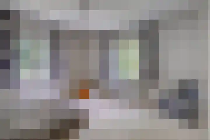 Kasteelsestraat 8 Overasselt thumbnail 26