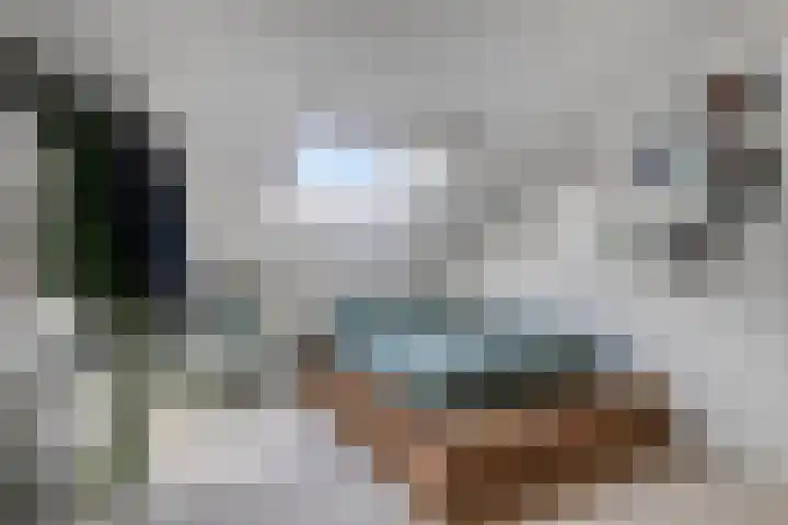Kasteelsestraat 8 Overasselt thumbnail 31
