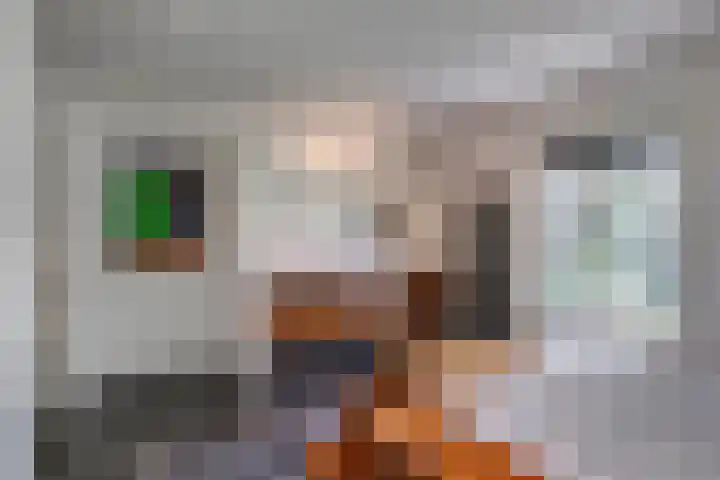 Kasteelsestraat 8 Overasselt thumbnail 38
