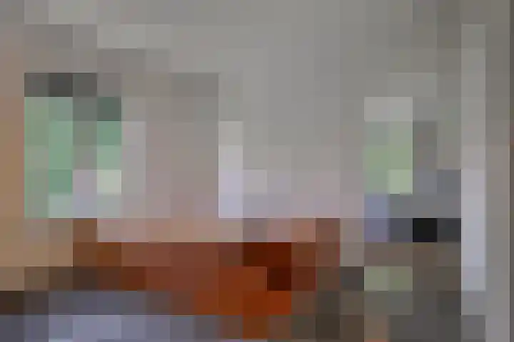 Kasteelsestraat 8 Overasselt thumbnail 41