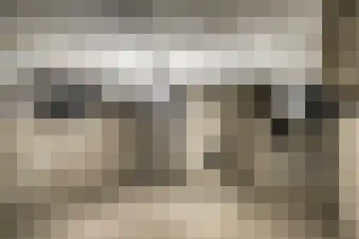 Kasteelsestraat 8 Overasselt thumbnail 48