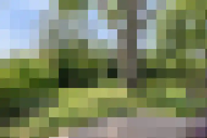 Kasteelsestraat 8 Overasselt thumbnail 53