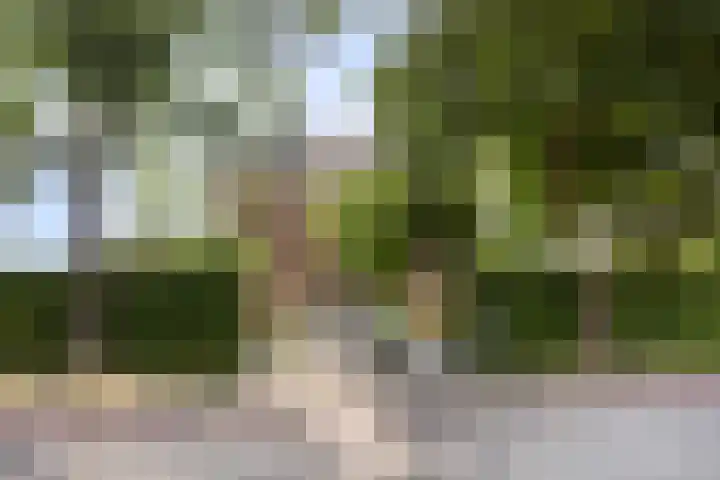 Kasteelsestraat 8 Overasselt thumbnail 58