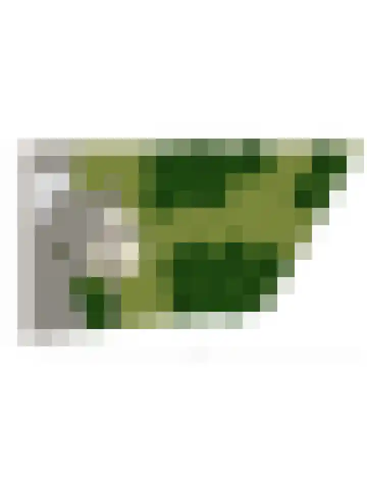 Kasteelsestraat 8 Overasselt thumbnail 65