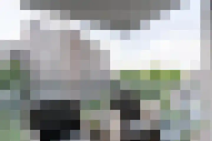 Kasteelsingel 110 Weert thumbnail 12