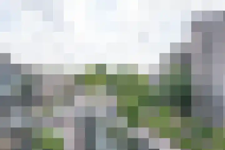Kasteelsingel 110 Weert thumbnail 14