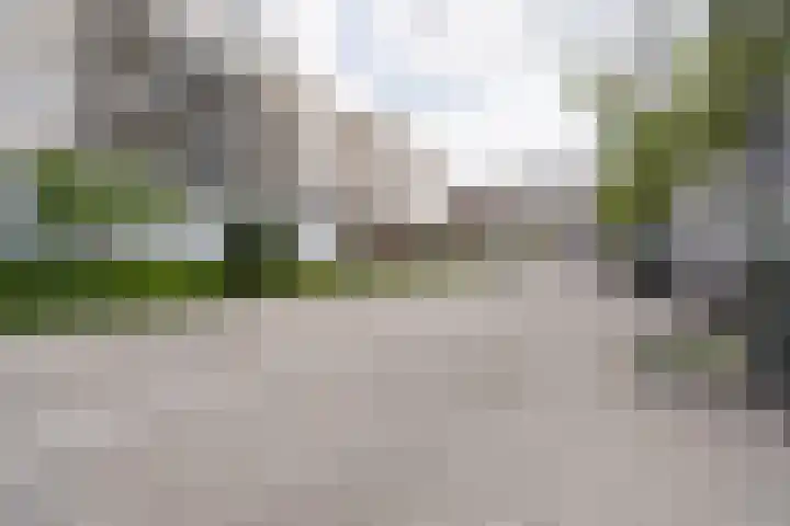 Kasteelsingel 110 Weert thumbnail 36