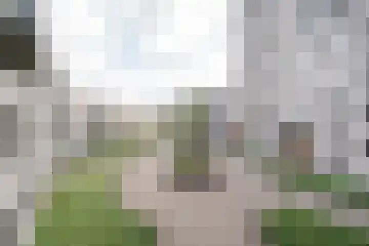 Kasteelsingel 110 Weert thumbnail 39