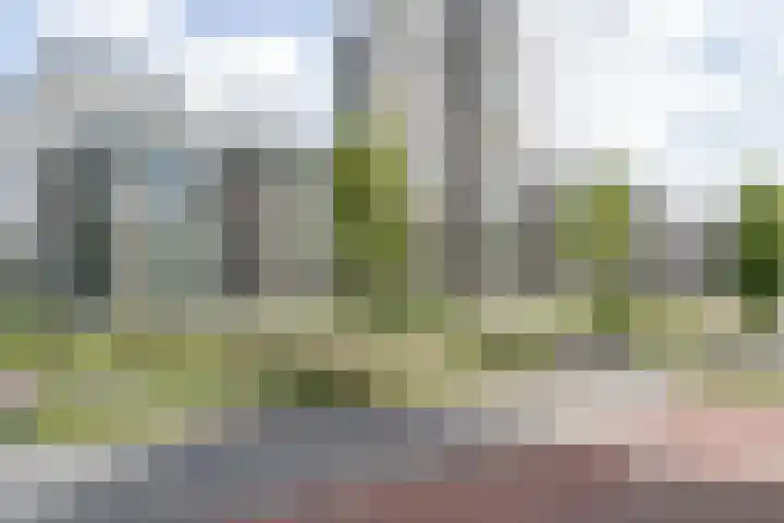 Kasteelsingel 110 Weert thumbnail 41