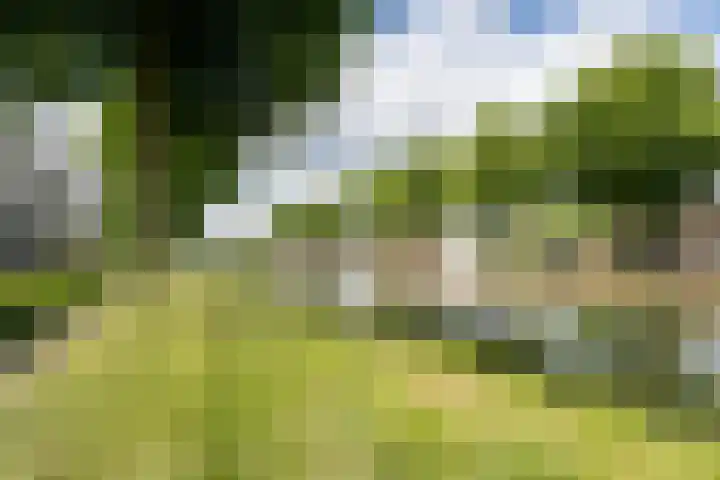 Kasteelsingel 110 Weert thumbnail 42