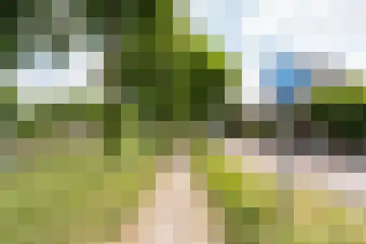 Kasteelsingel 110 Weert thumbnail 43