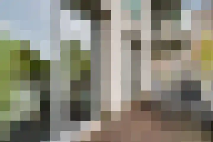 Kasteelsingel 126 Weert thumbnail 37