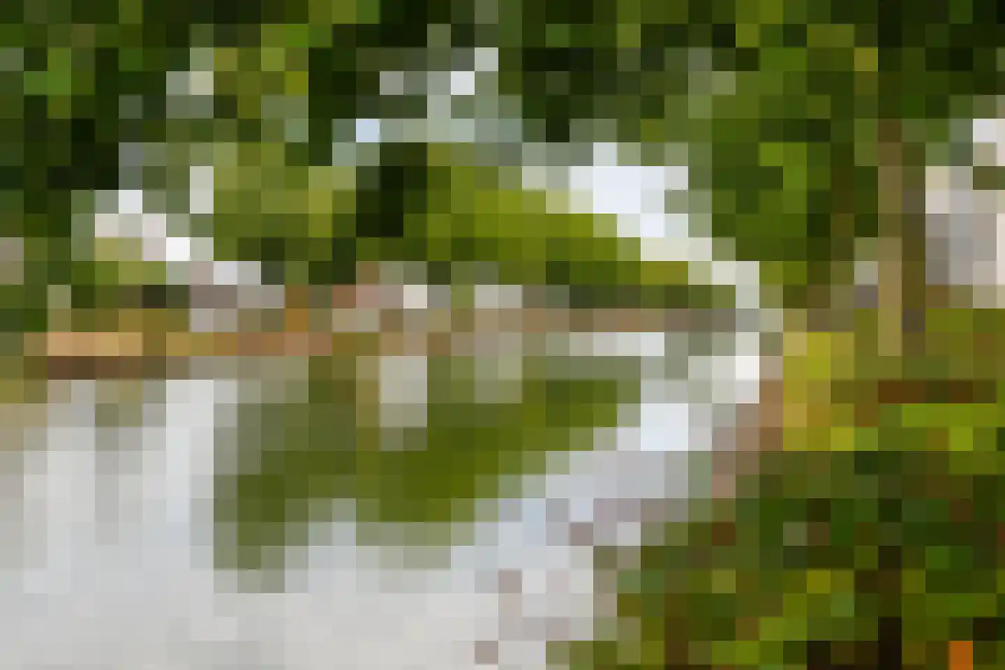 Kasteelsingel 148 Weert thumbnail 41