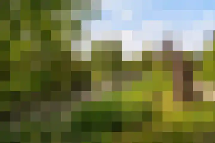 Kasteelsingel 47 Weert thumbnail 51
