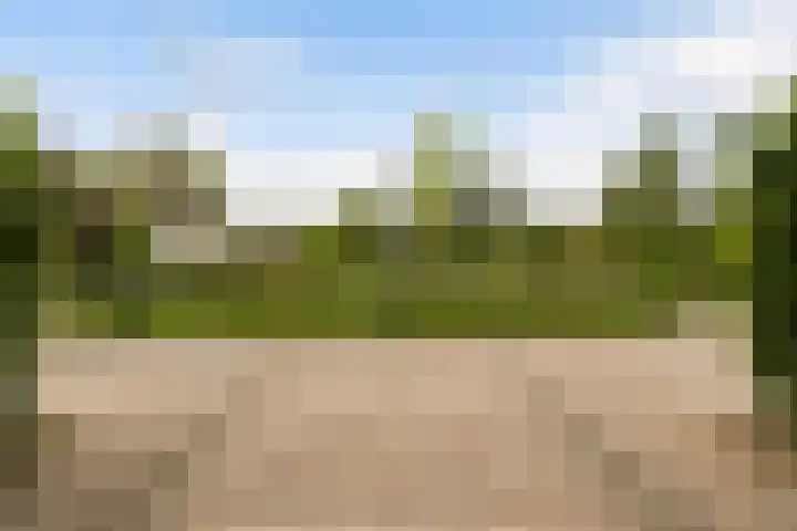 Kasteelsingel 47 Weert thumbnail 53