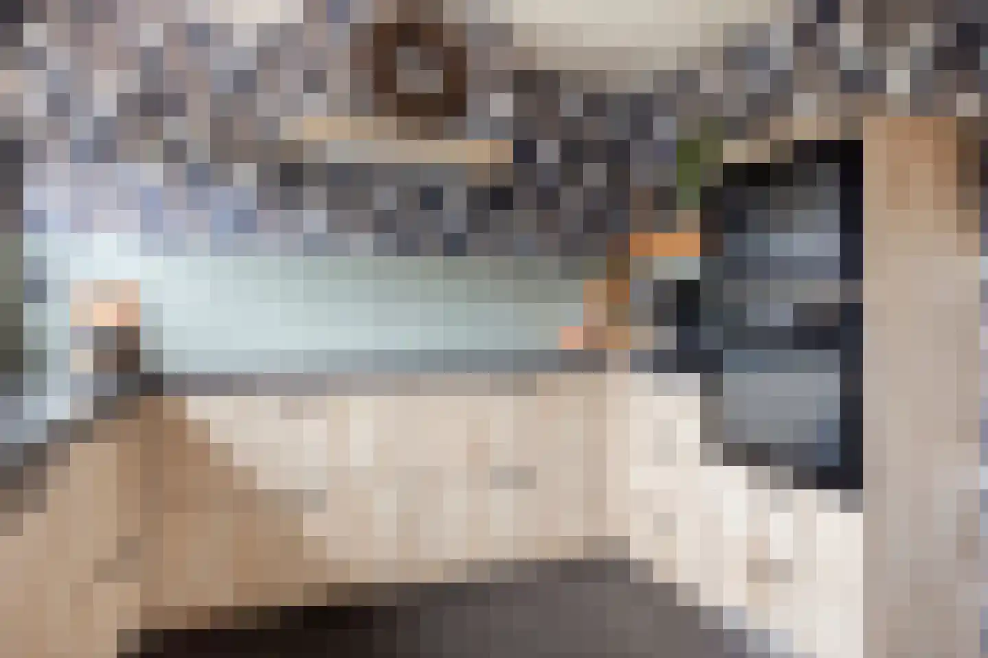 Kasteelstraat 10 Ittervoort thumbnail 18