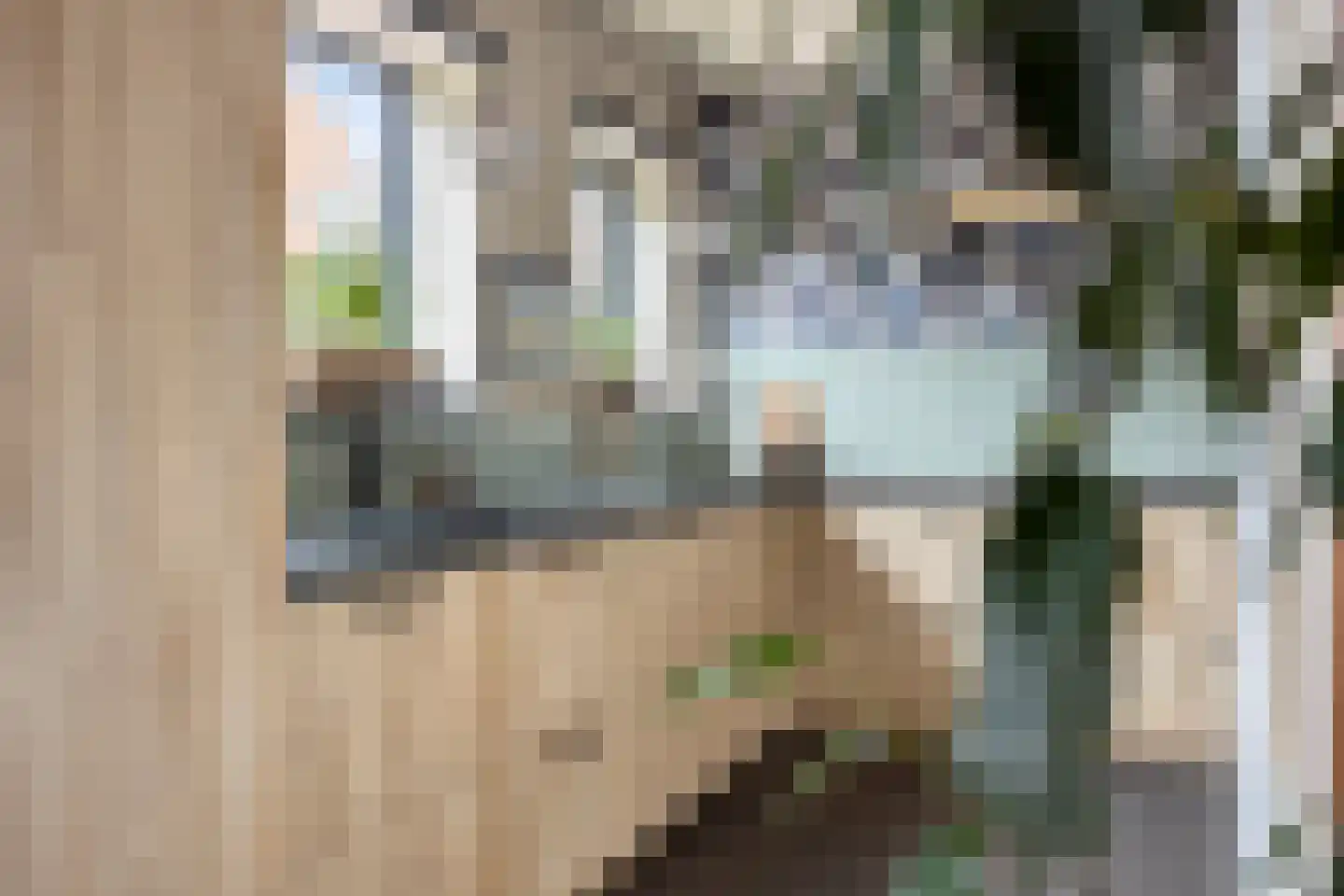 Kasteelstraat 10 Ittervoort thumbnail 20