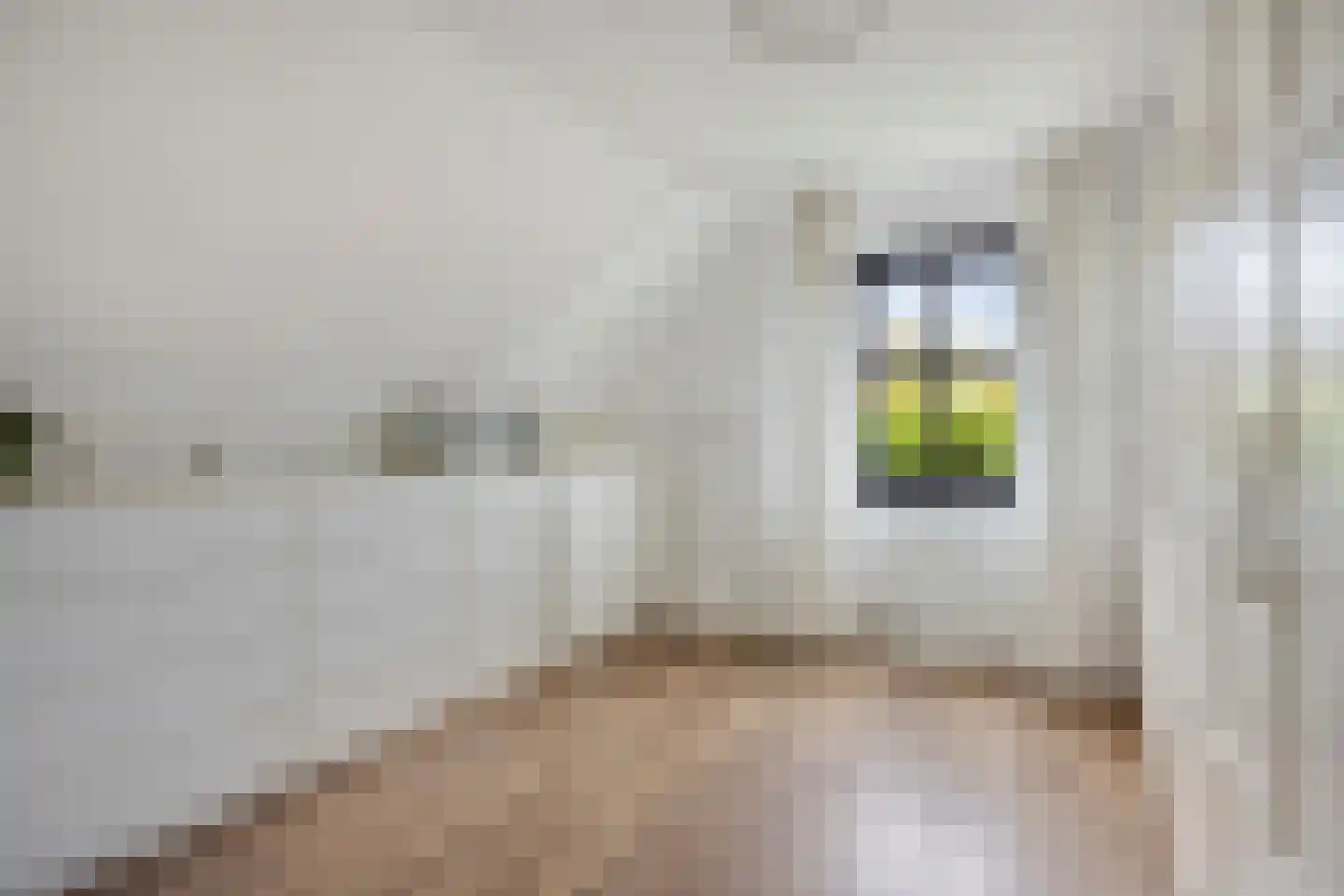 Kasteelstraat 10 Ittervoort thumbnail 28