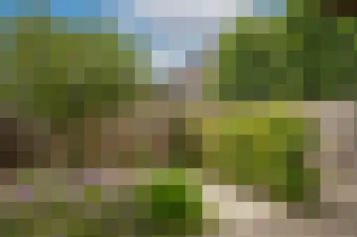 Kasteelstraat 15 Kesteren thumbnail 21