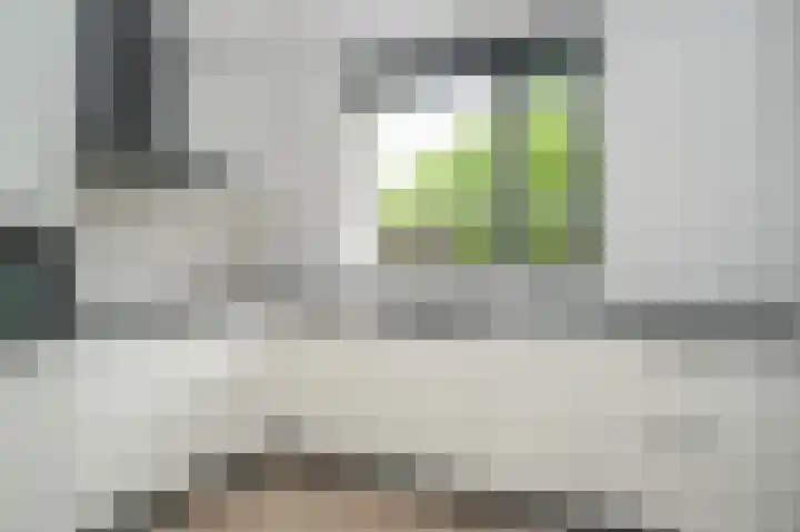 Kasteelstraat 15 Kesteren thumbnail 9
