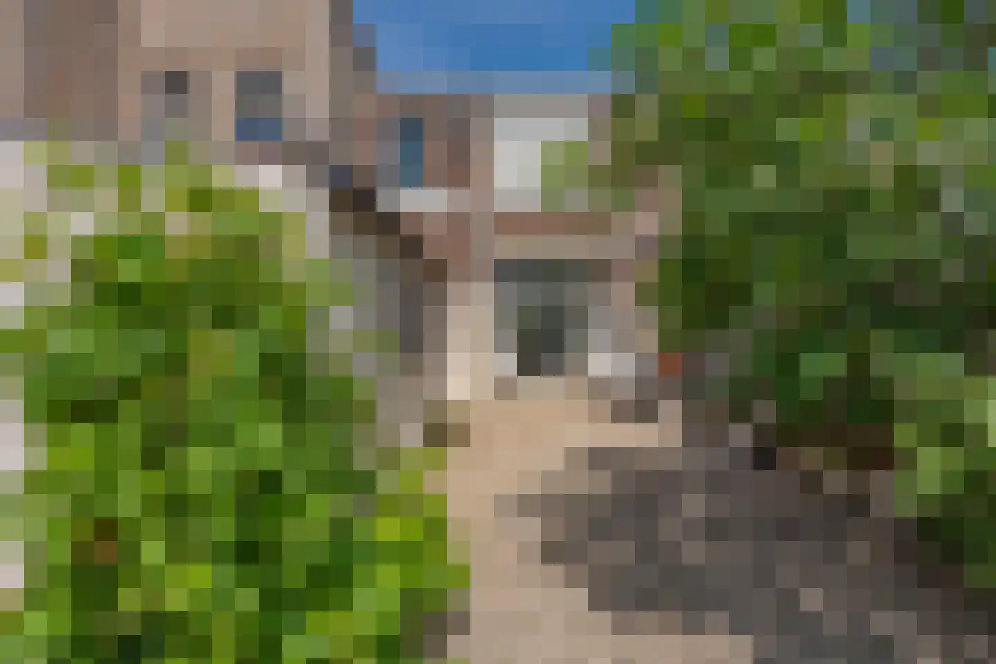 Kasteelstraat 178 Vlissingen thumbnail 25